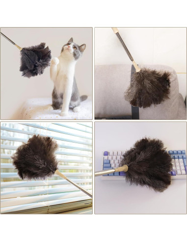 Duster de Plumas de Avestruz Aldwin Extensible 50.8-110.7 cm