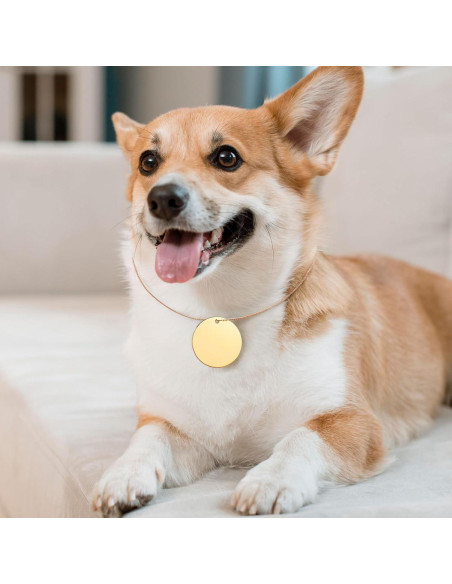 Etiquetas Metálicas en Blanco STOBOK 10 Pcs 2.99 cm para Joyería