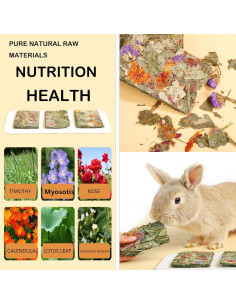 Juguetes para Conejos Grembeb 12pcs Heno Timothy Snacks Saludables 2