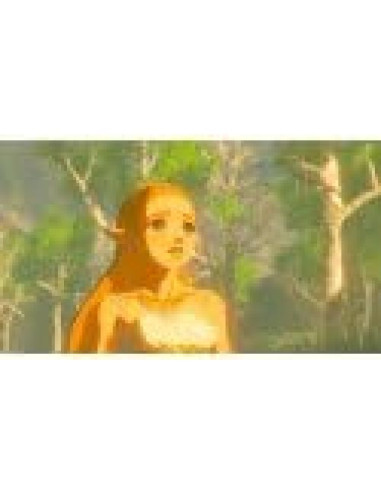 Amiibo Bokoblin - La Leyenda de Zelda Breath of the Wild