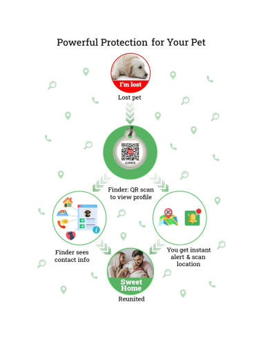 Etiqueta de Identificación QR para Perros WAUDOG Grande Nasa