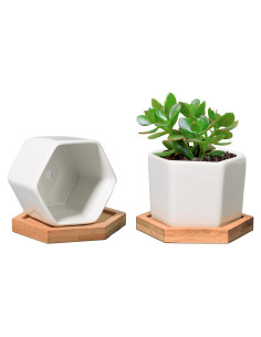 Macetas Hexagonales T4U para Suculentas - Juego de 2 Cerámica