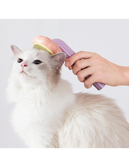 Cepillo de Aseo Autolimpiante para Gatos y Perros - Naranja/Rosa
