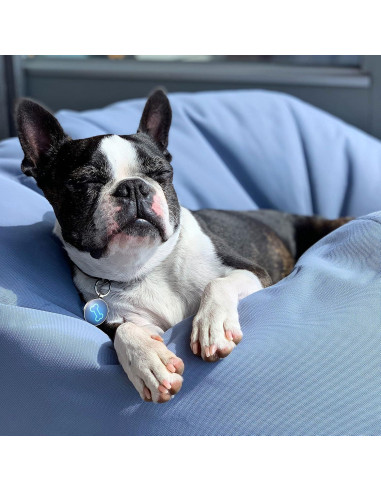 Etiqueta de Identificación para Perro KEKID con Código QR Personalizado