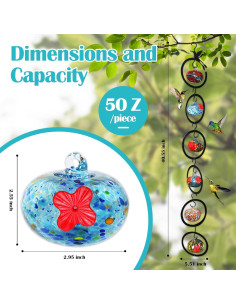 Alimentador de Colibríes de Vidrio Ruiyi Tim 6 PCS 150g 2