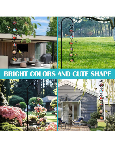 Alimentador de Colibríes de Vidrio Ruiyi Tim 6 PCS 150g