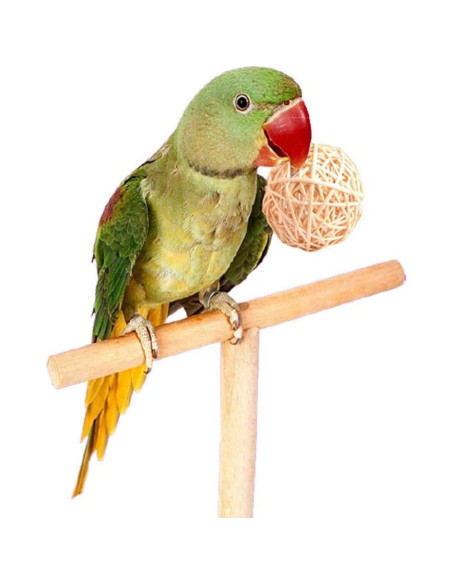 10 Bolas de Mimbre para Masticar Tfwadmx - Juguetes para Aves