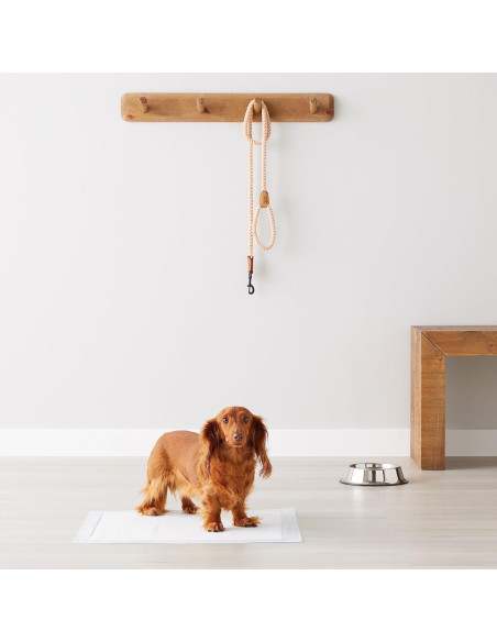 Almohadillas para Perros Amazon Basics 100 Unidades 55x55 cm