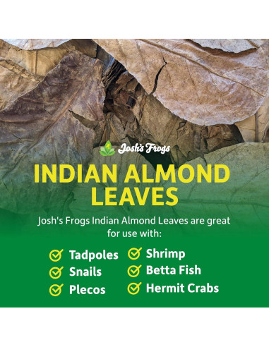 Hojas de Almendra India Josh's Frogs - Paquete de 5 Unidades