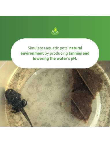 Hojas de Almendra India Josh's Frogs - Paquete de 5 Unidades