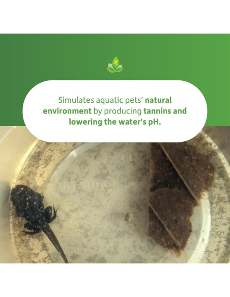 Hojas de Almendra India Josh's Frogs - Paquete de 5 Unidades