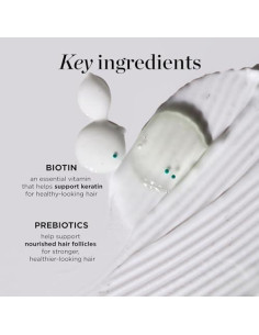 Champú Engrosante Dr. Groot 450g con Biotina y Romero 2