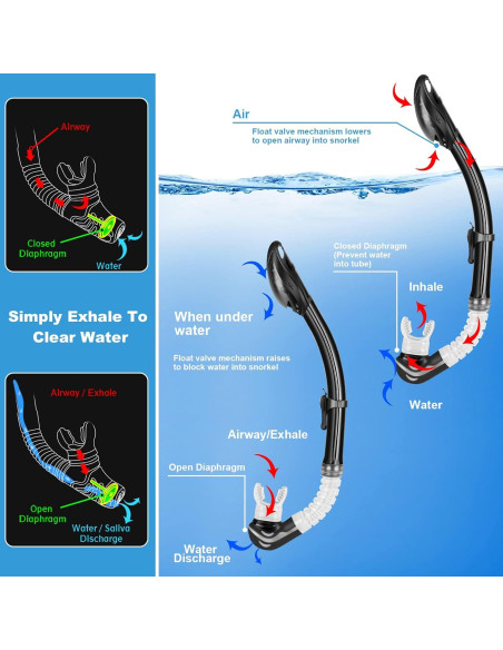 Equipo de Snorkel Zeeporte Dive - Máscara, Aletas y Snorkel