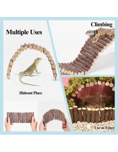 Accesorios para Terrario RUNANIA: Cabaña de Coco y Vides