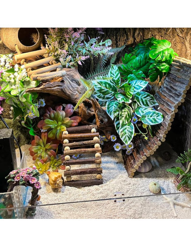 Accesorios para Terrario RUNANIA: Cabaña de Coco y Vides