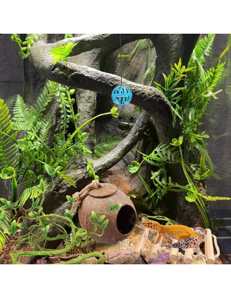 Accesorios para Terrario RUNANIA: Cabaña de Coco y Vides