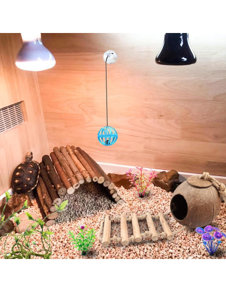 Accesorios para Terrario RUNANIA: Cabaña de Coco y Vides