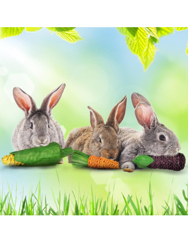 Juguetes Masticables Naturales SunGrow para Conejos - 3 Piezas