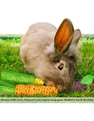 Juguetes Masticables Naturales SunGrow para Conejos - 3 Piezas