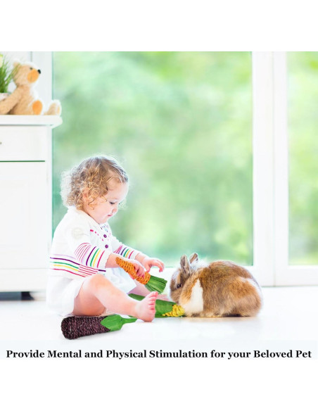 Juguetes Masticables Naturales SunGrow para Conejos - 3 Piezas