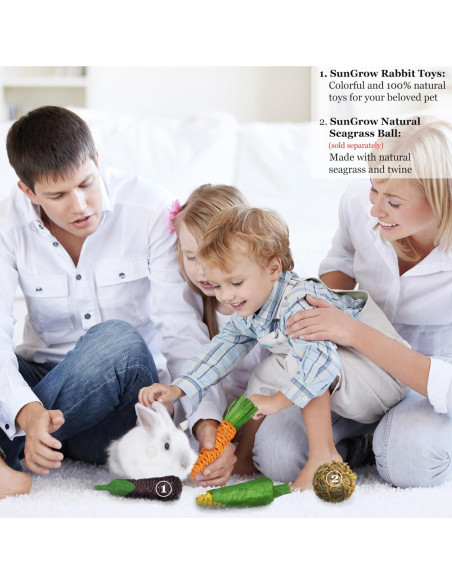 Juguetes Masticables Naturales SunGrow para Conejos - 3 Piezas