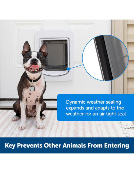 Adaptador de Corriente PetSafe SmartDoor 12V 1.83m para Mascotas