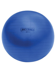 Pelota de Ejercicio Champion Sports FitPro 42 cm Azul