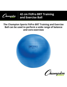 Pelota de Ejercicio Champion Sports FitPro 42 cm Azul 2