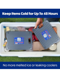Paquete de Hielo Reutilizable Cooler Shock - 2 Unidades 2.27 kg 2