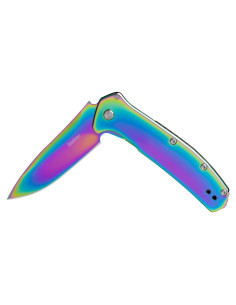Cuchillo de bolsillo Kershaw Rainbow Outcome 7.9 cm acero inoxidable