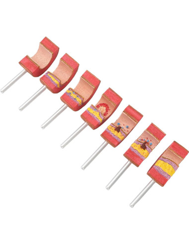 Modelo de Anatomía Arterial 7 Piezas LUCKDANO PVC Educativo