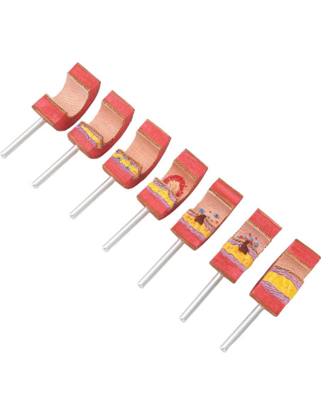 Modelo de Anatomía Arterial 7 Piezas LUCKDANO PVC Educativo