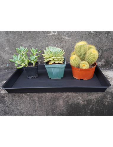 Bandeja de Cultivo VUWEZ Rectangular 28x19.3 cm para Plantas