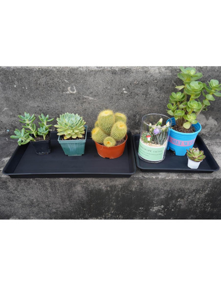 Bandeja de Cultivo VUWEZ Rectangular 28x19.3 cm para Plantas