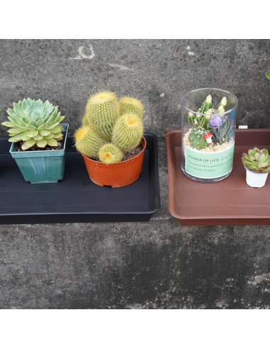 Bandeja de Cultivo VUWEZ Rectangular 28x19.3 cm para Plantas