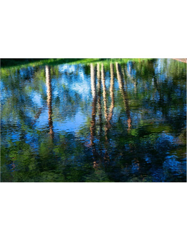 Objetivo Sigma 56mm F1.4 DC DN | C Micro 4/3 Negro