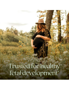 Vitaminas Prenatales New Chapter 192ct Orgánicas con Folato y Hierro 2