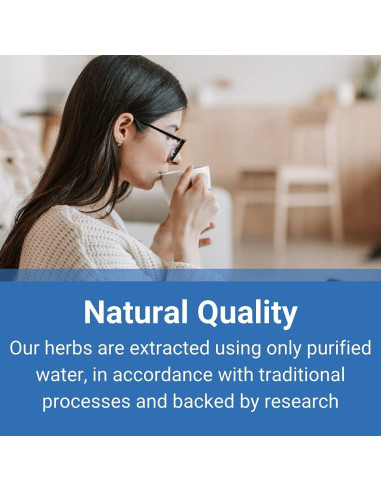 Extracto Herbal Concentrado Zhi Zi 100g - Tesoro de Oriente