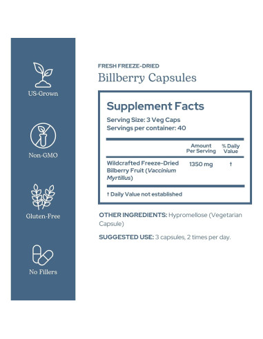 Arándano Crudo Liofilizado INSTITUTO ECLECTICO 120 Cápsulas