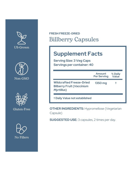 Arándano Crudo Liofilizado INSTITUTO ECLECTICO 120 Cápsulas