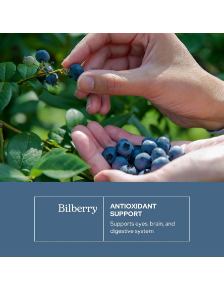 Arándano Crudo Liofilizado INSTITUTO ECLECTICO 120 Cápsulas