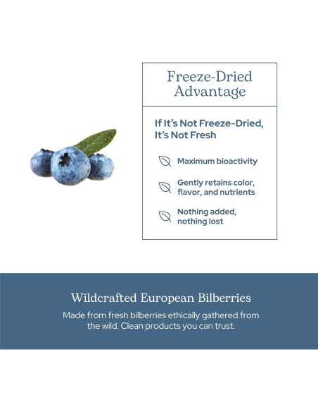 Arándano Crudo Liofilizado INSTITUTO ECLECTICO 120 Cápsulas