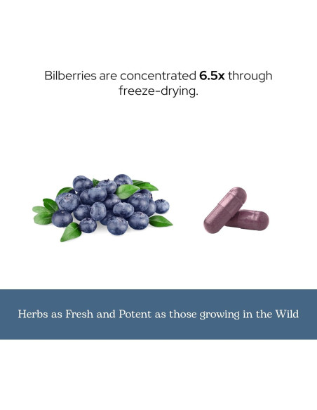 Arándano Crudo Liofilizado INSTITUTO ECLECTICO 120 Cápsulas