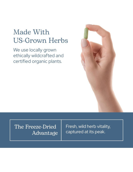 Arándano Crudo Liofilizado INSTITUTO ECLECTICO 120 Cápsulas