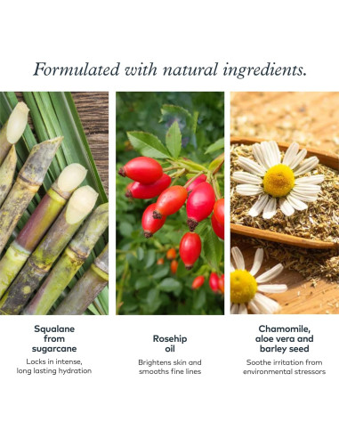 Crema de Noche Onekind Dream Cream 48 g - Hidratante Anti-Envejecimiento