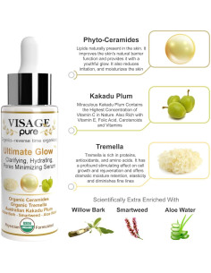 Suero Facial Aclarador Brillo Supremo Visage Pure 68g 2