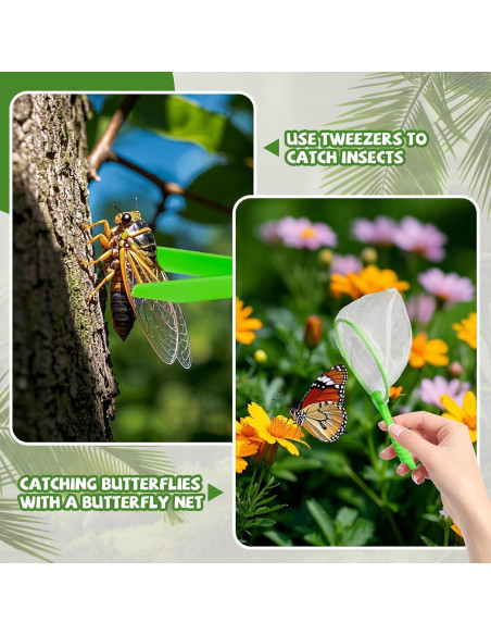 Kit de Captura de Insectos Bbiamsleep 32 Piezas con Visor