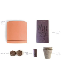 Kit de Maceta de Lavanda Fleur Du Bien - Cultiva en Casa 2