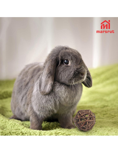 9 Bolas de Mimbre Natural para Mascotas - Juguetes de Masticar