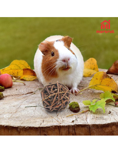 9 Bolas de Mimbre Natural para Mascotas - Juguetes de Masticar